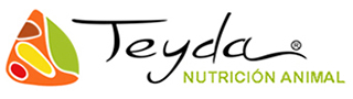 Logotipo teyda